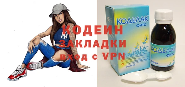 индика Володарск