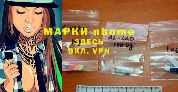индика Володарск