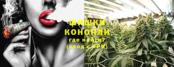 spice Вяземский
