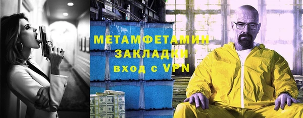 индика Володарск