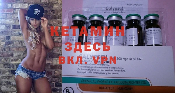 индика Володарск