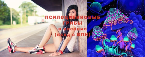 мдпв Волосово