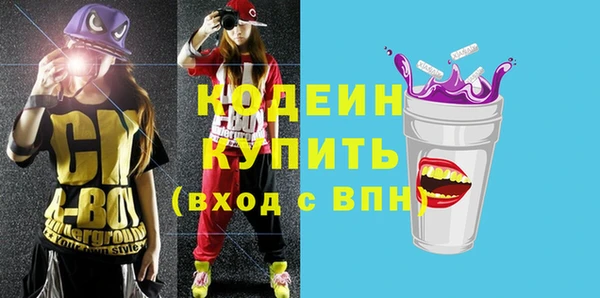 индика Володарск