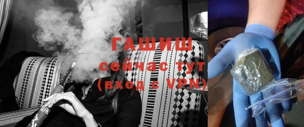 индика Володарск