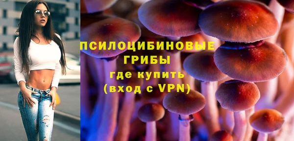 молекула духа Вязьма